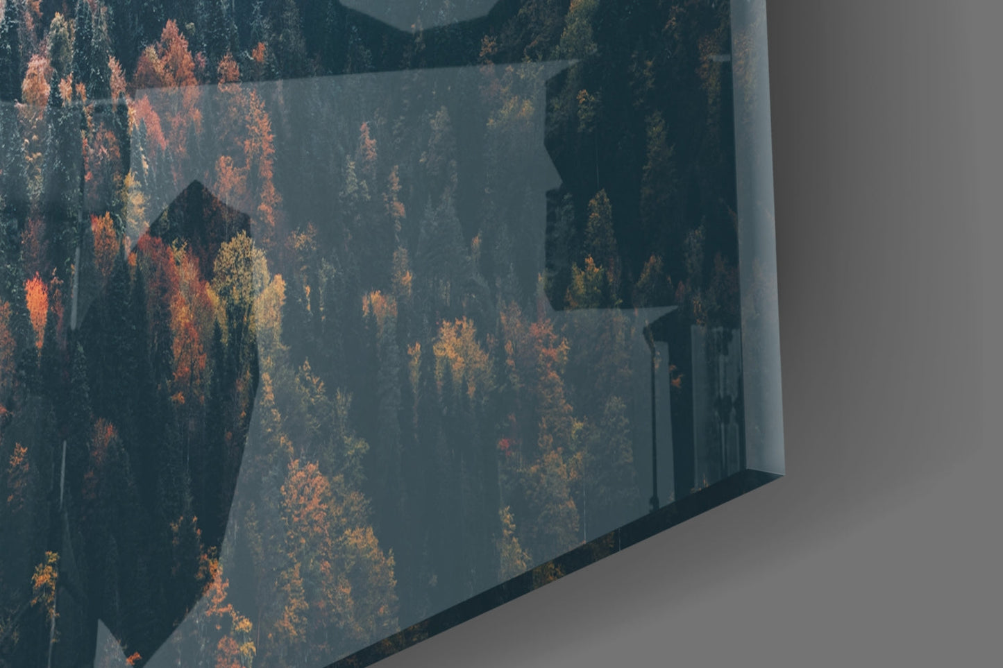 Autumn Forest Glass Wall Art