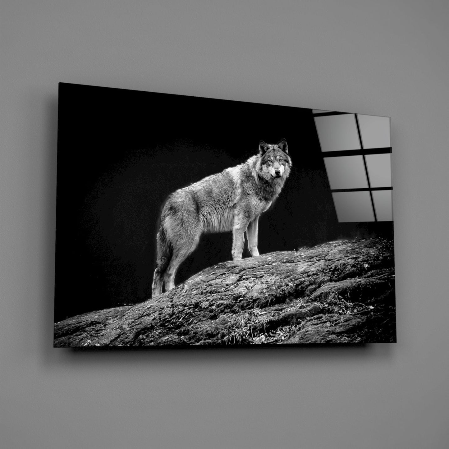 Wolf Glass Wall Art Black and White Print
