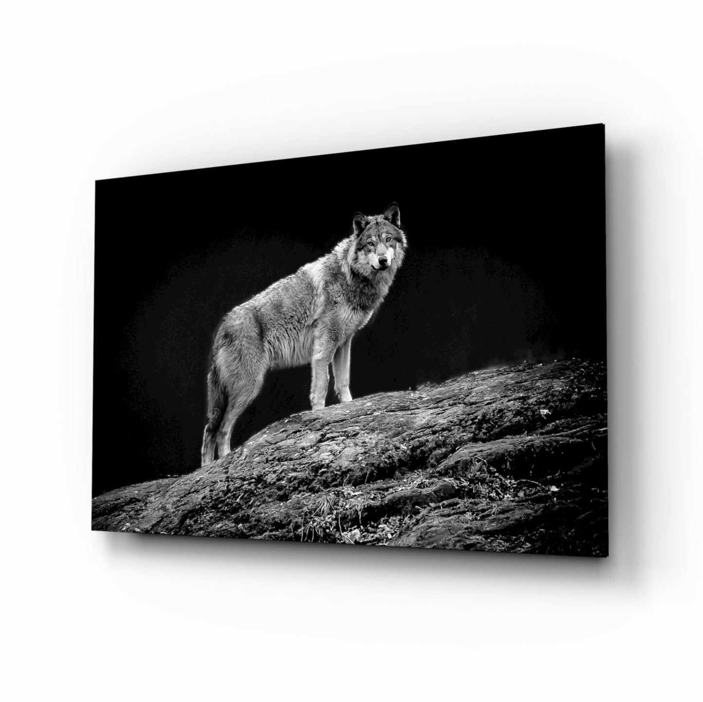 Black-and-white wolf on a rocky bluff glass wall art
