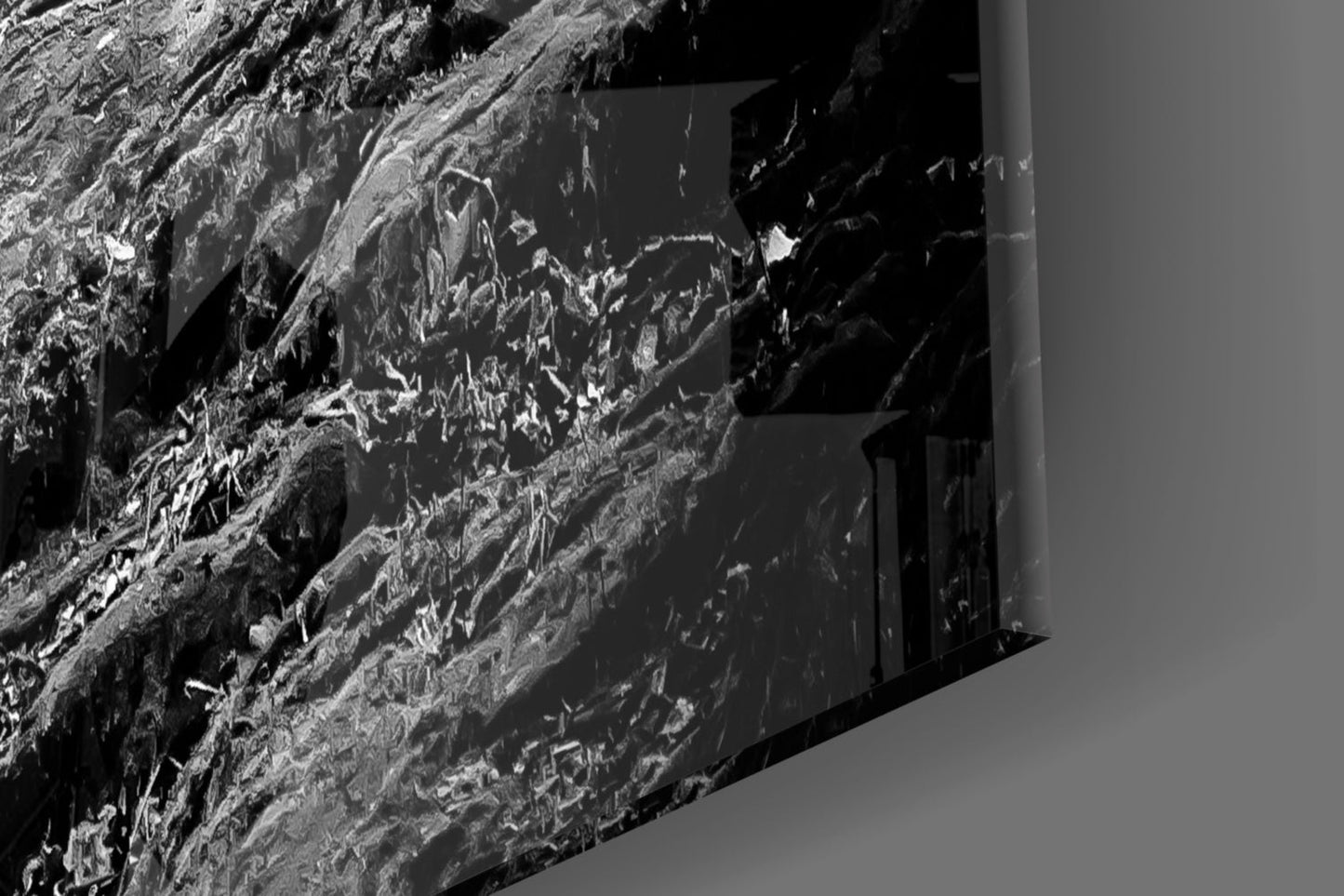 Wolf Glass Wall Art Black and White Print