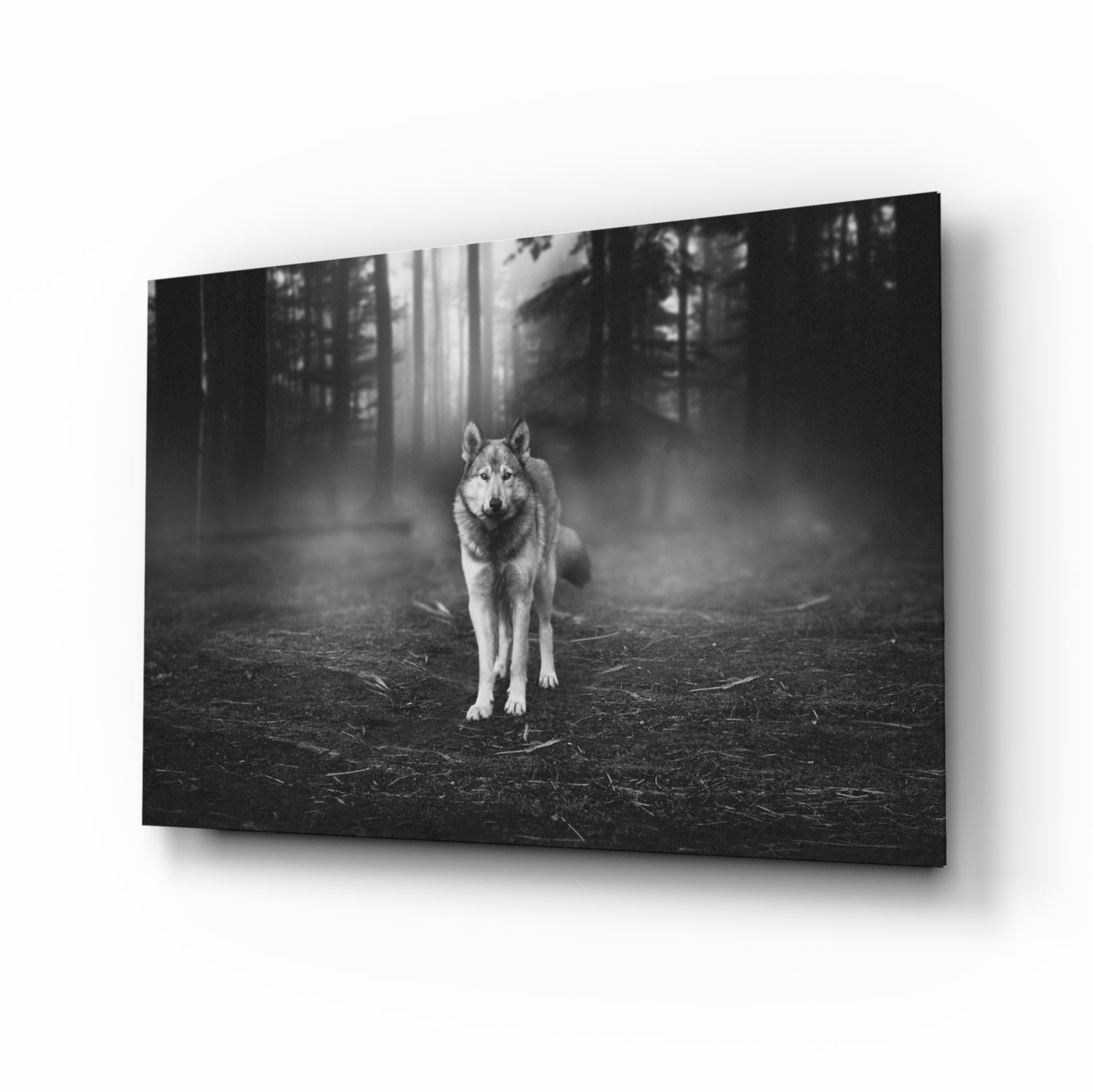 Misty forest wolf glass wall art print
