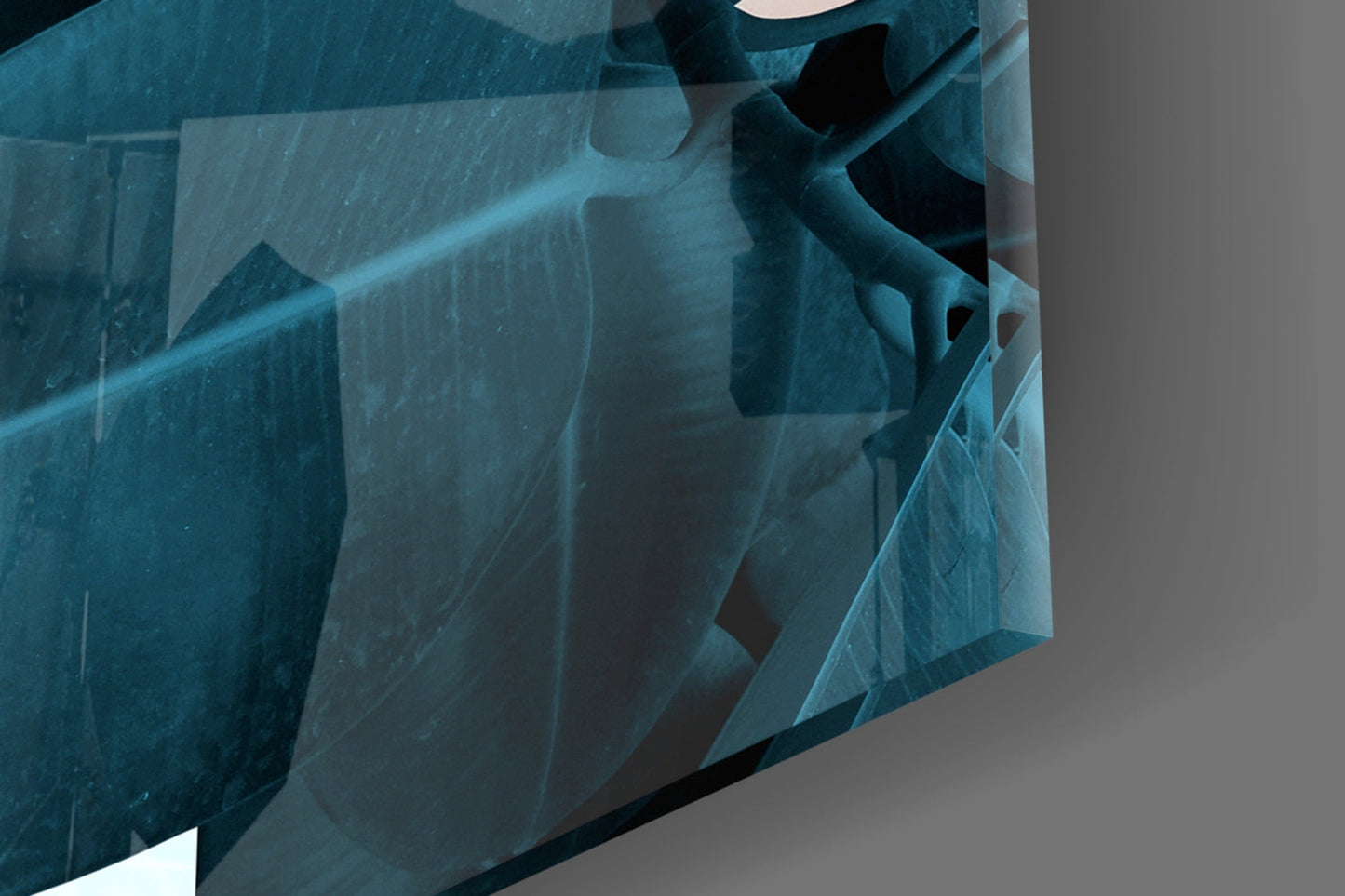 Teal Rubber Plant Leaves Glass Wall Art