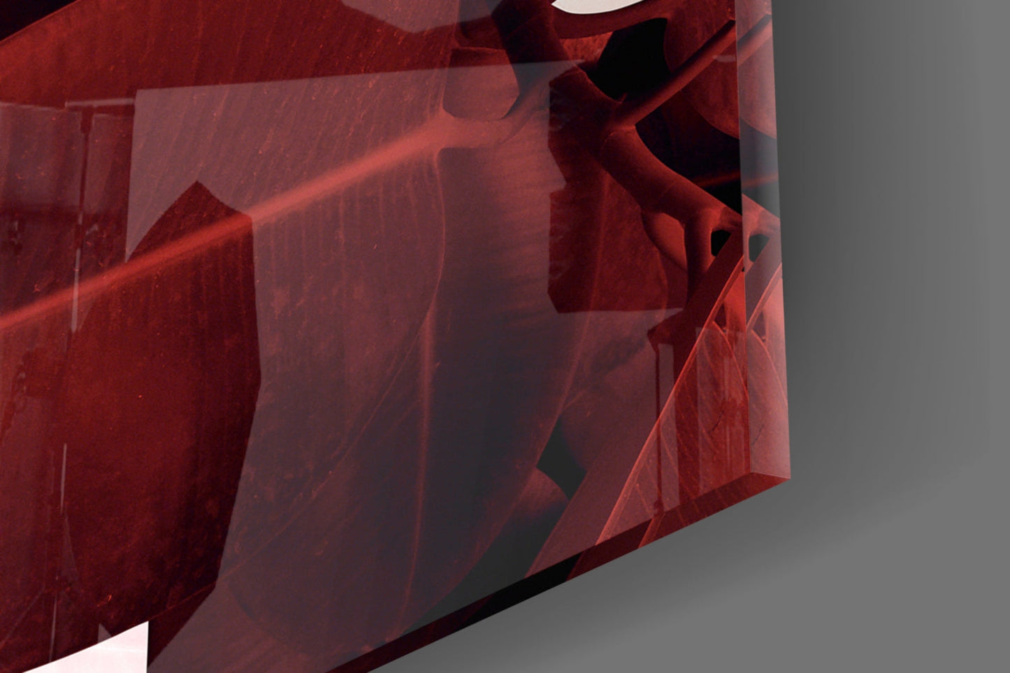 Burgundy Rubber Leaves Glass Wall Art