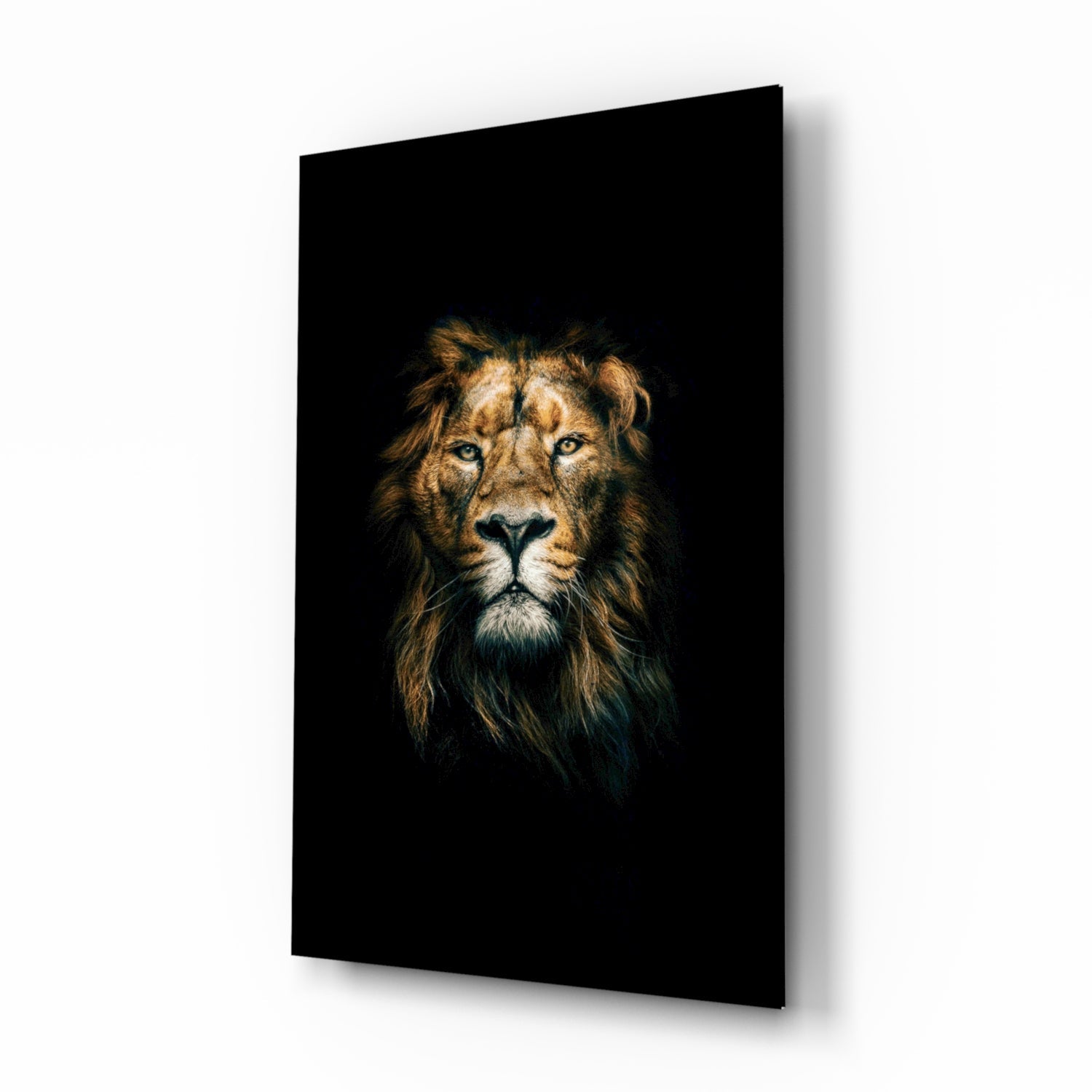 Golden mane lion portrait glass wall art
