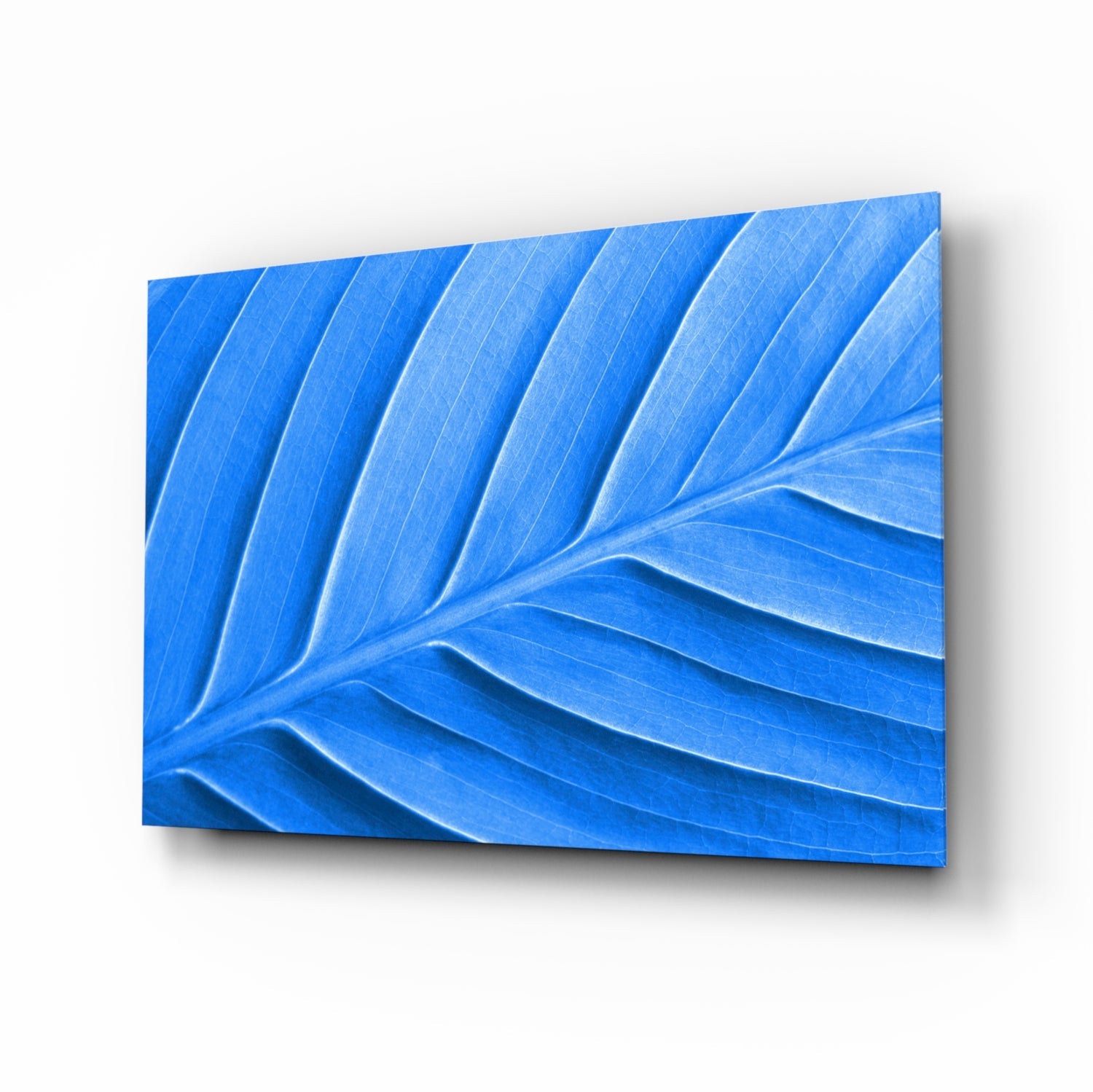 Blue Leaf palm macro glass wall art