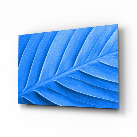 Blue Leaf palm macro glass wall art
