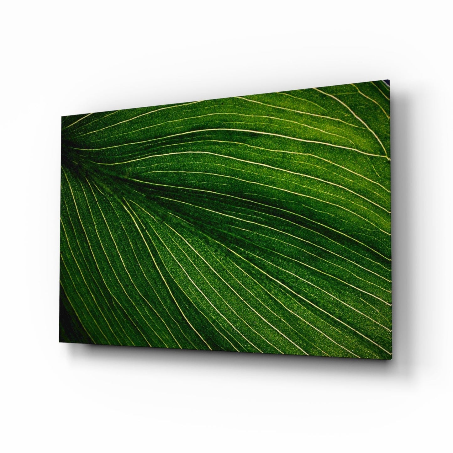 Green leaf vein pattern glass wall art
