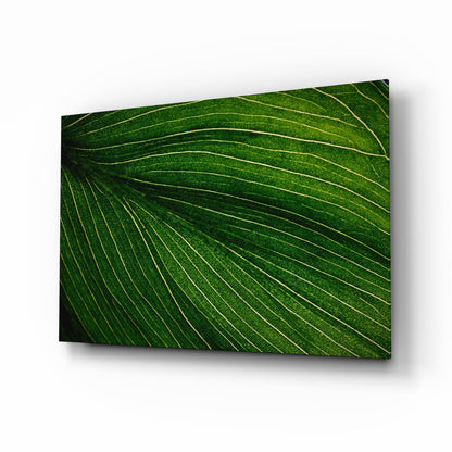Green leaf vein pattern glass wall art