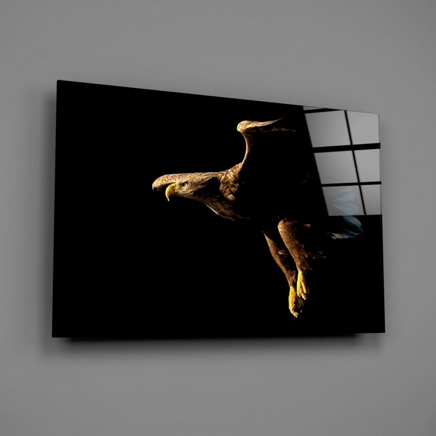 Golden Eagle In Flight Glass Wall Art