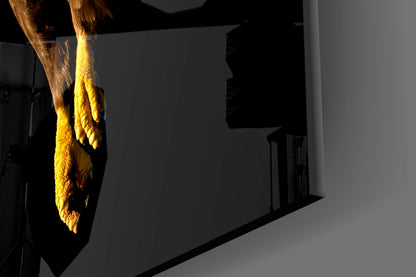Golden Eagle In Flight Glass Wall Art