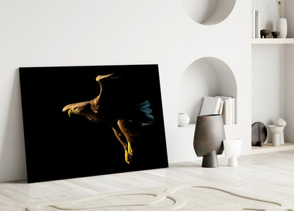 Golden Eagle In Flight Glass Wall Art