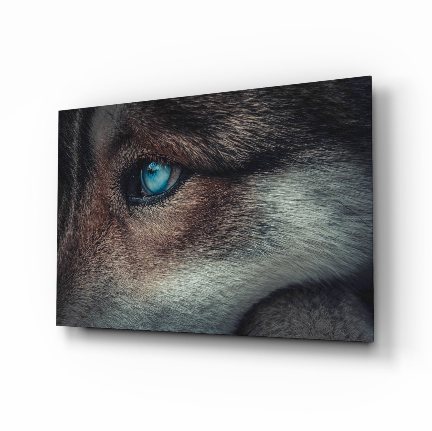Wolf's eye macro glass wall art print