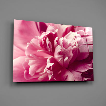 Pink Peony Glass Wall Art