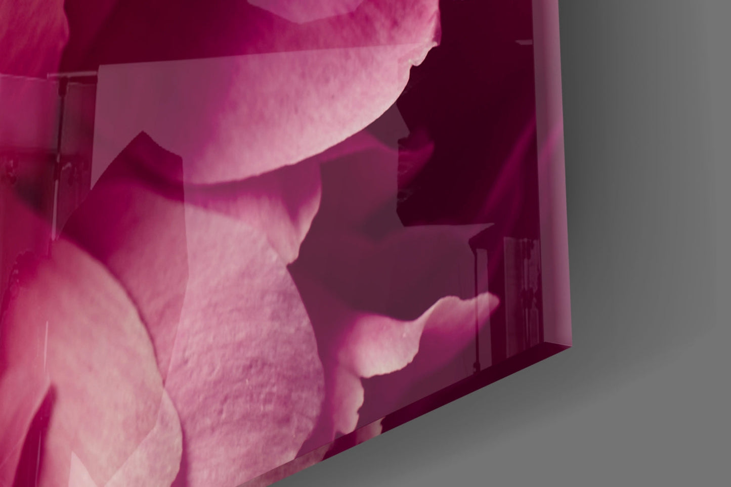 Pink Peony Glass Wall Art