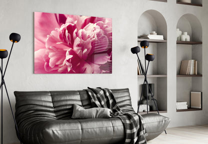 Pink Peony Glass Wall Art