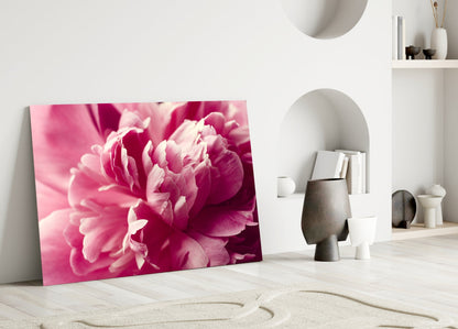 Pink Peony Glass Wall Art