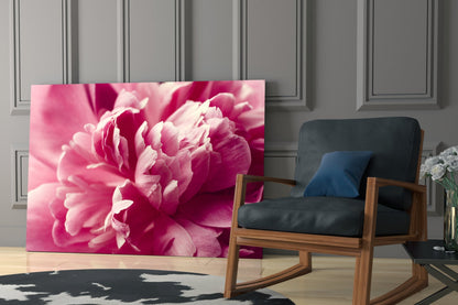 Pink Peony Glass Wall Art