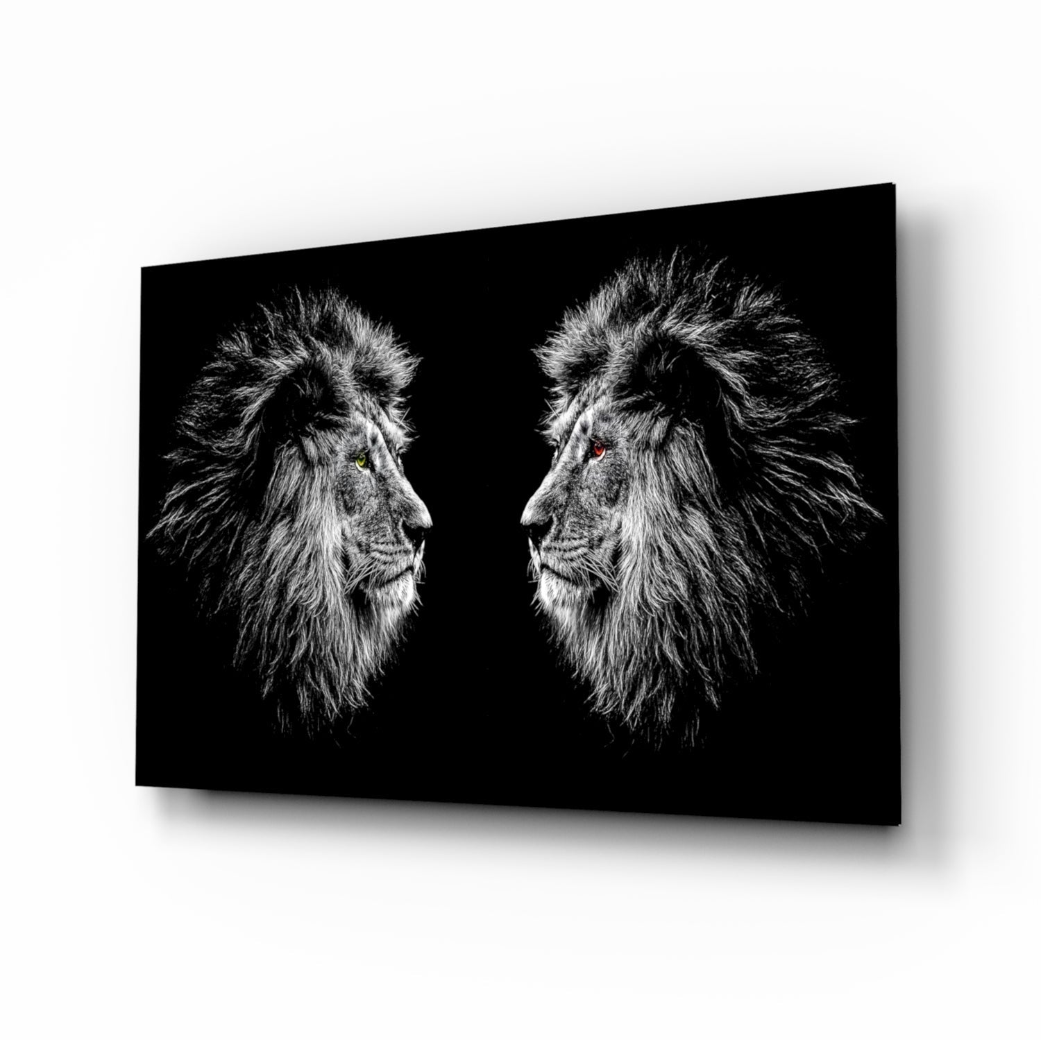 Facing Lions glass wall art print