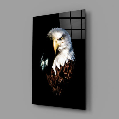 Bald Eagle Portrait Glass Wall Art