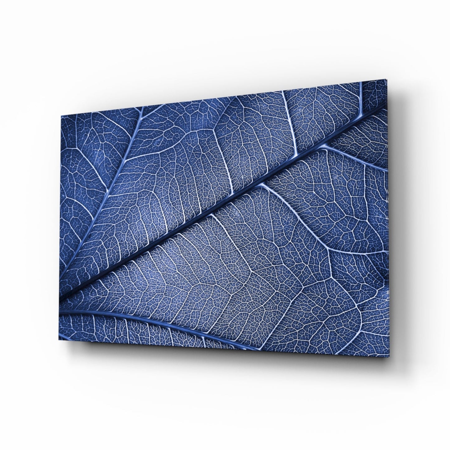 Macro blue leaf glass wall art
