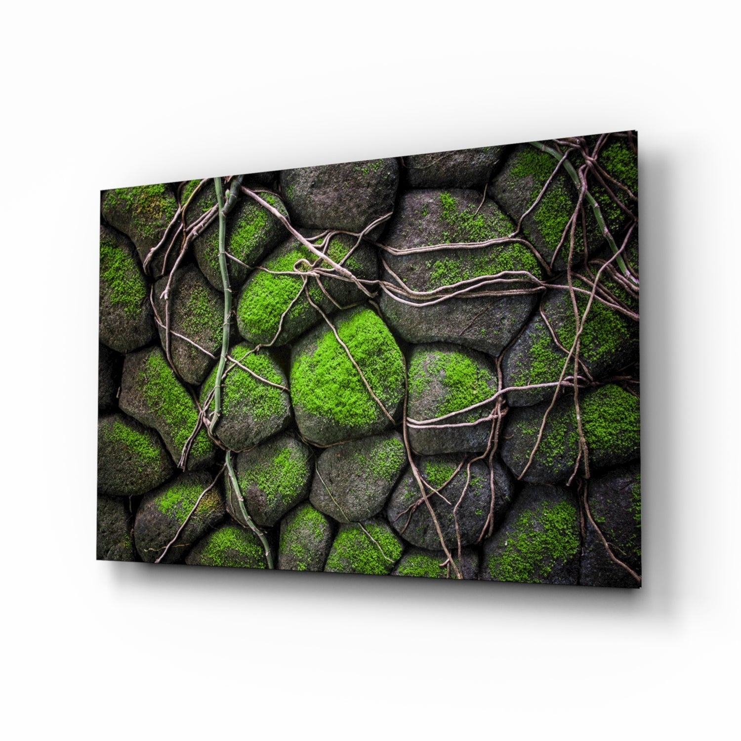 Mossy Stones Glass Wall Art nature print