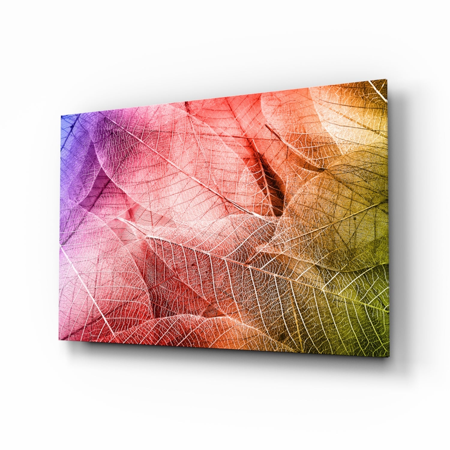 Macro leaves glass wall art