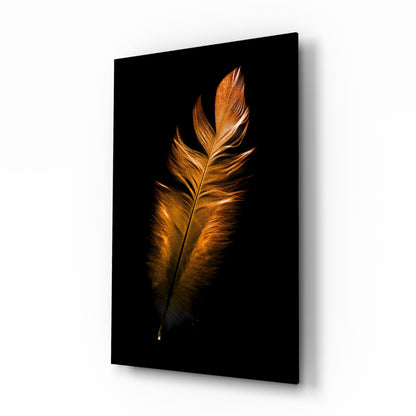 Copper feather still life glass wall art