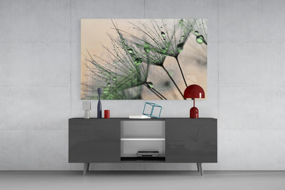 Dandelion Dew Drops Glass Wall Art
