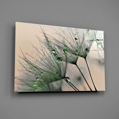 Dandelion Dew Drops Glass Wall Art