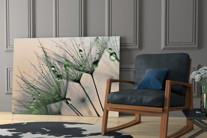 Dandelion Dew Drops Glass Wall Art