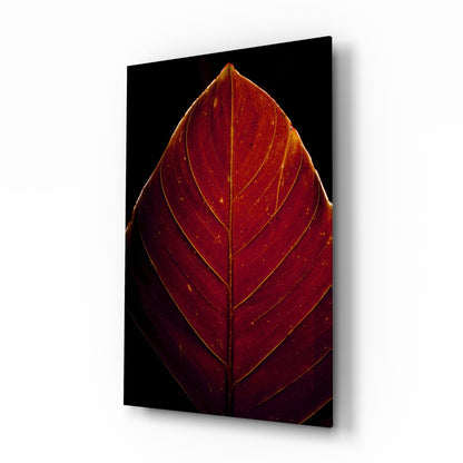 Red Leaf Veins Glass Wall Art