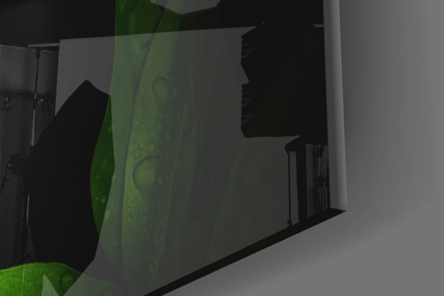 Snake Glass Wall Art - Emerald-Eyed Wildlife