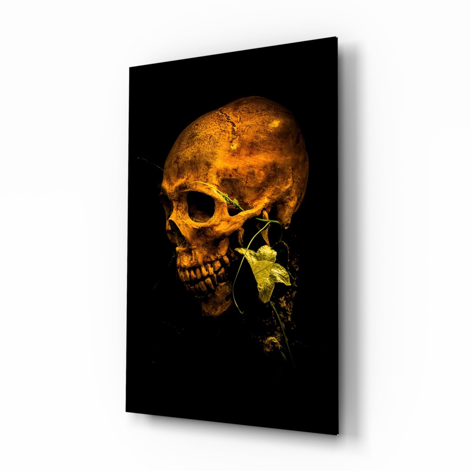 Flower and skull glass wall art