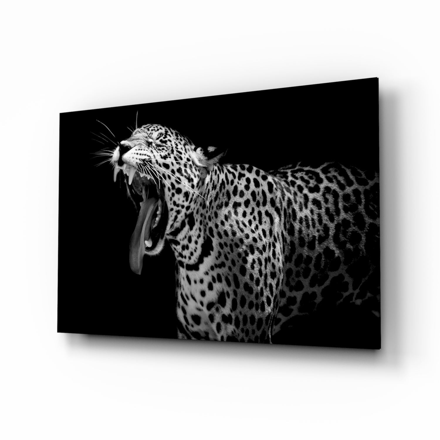 Wide Yawn Leopard Glass Art