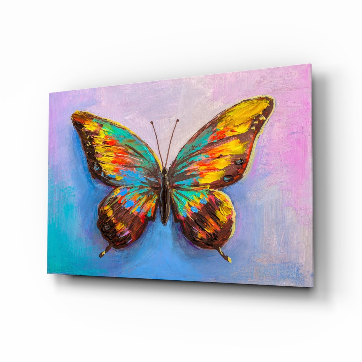 Butterfly glass wall art rainbow painterly tempered glass
