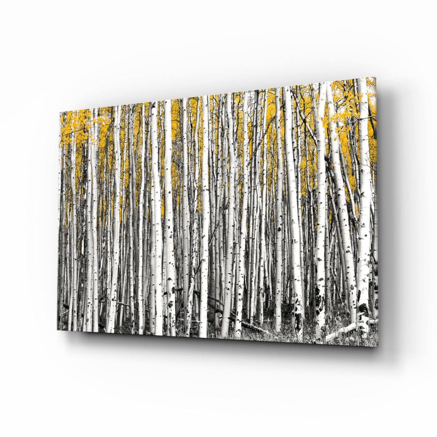 Yellow forest glass wall art aspen woodland photography
