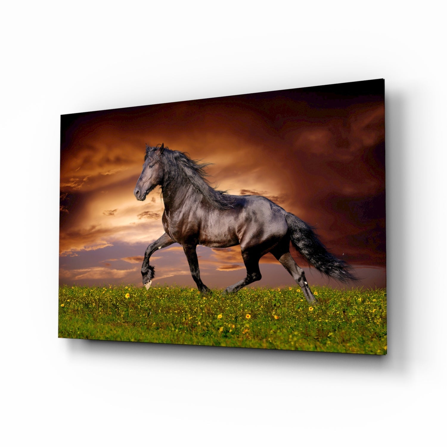 Nobility of Horse equestrian glass wall art