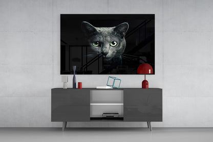 Russian Blue Cat Glass Wall Art