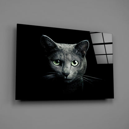 Russian Blue Cat Glass Wall Art