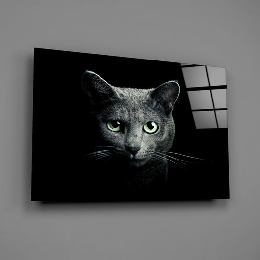 Russian Blue Cat Glass Wall Art