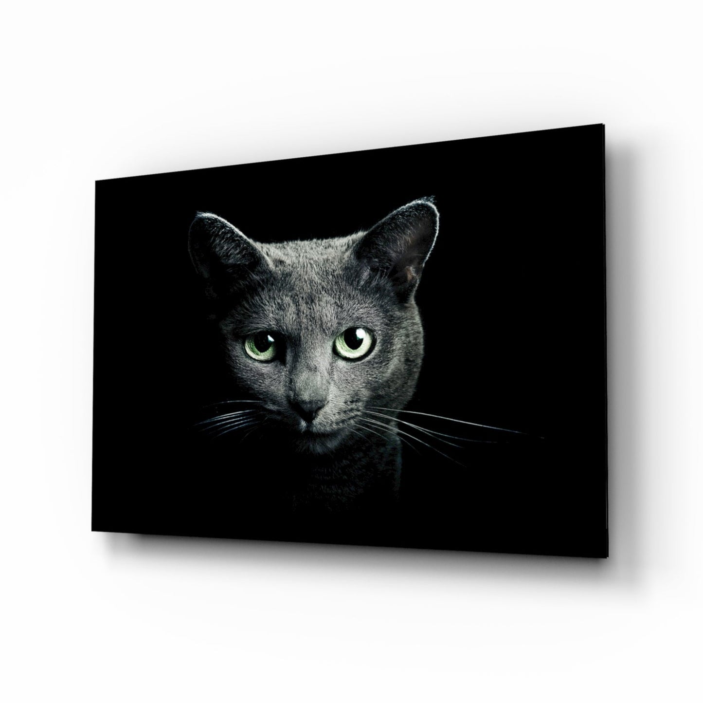 Russian Blue Cat Glass Wall Art - moody portrait