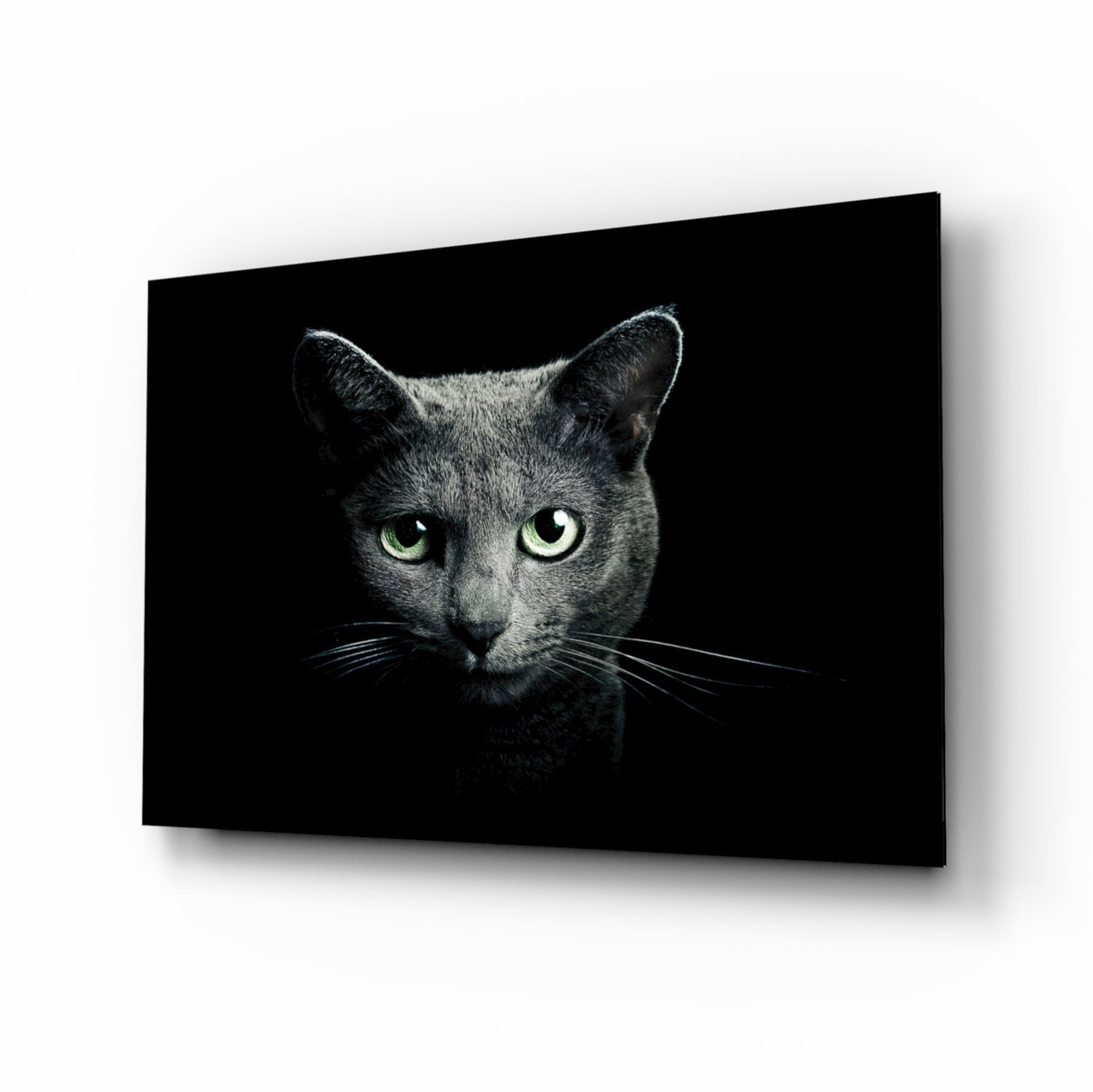 Russian Blue Cat Glass Wall Art - moody portrait
