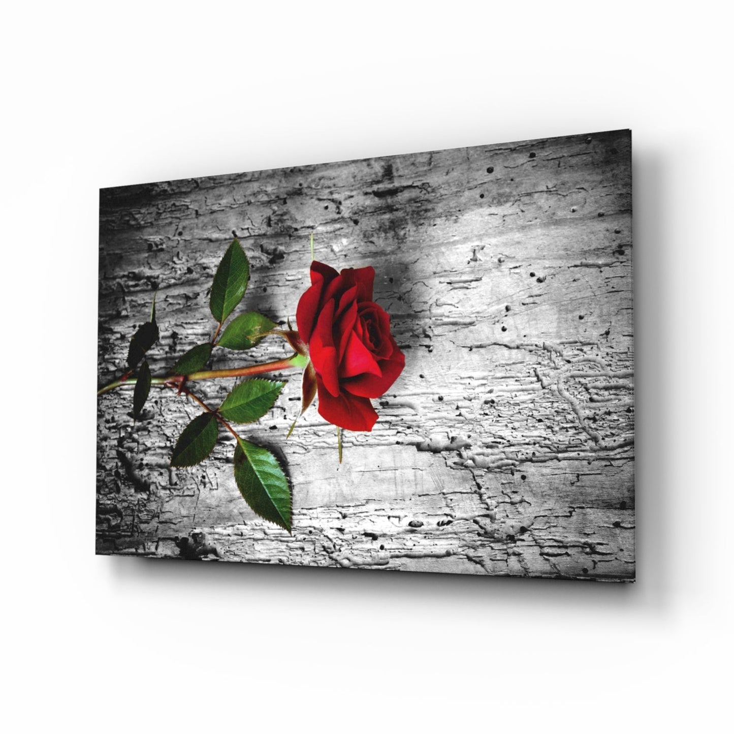 Red rose on weathered wood glass wall art