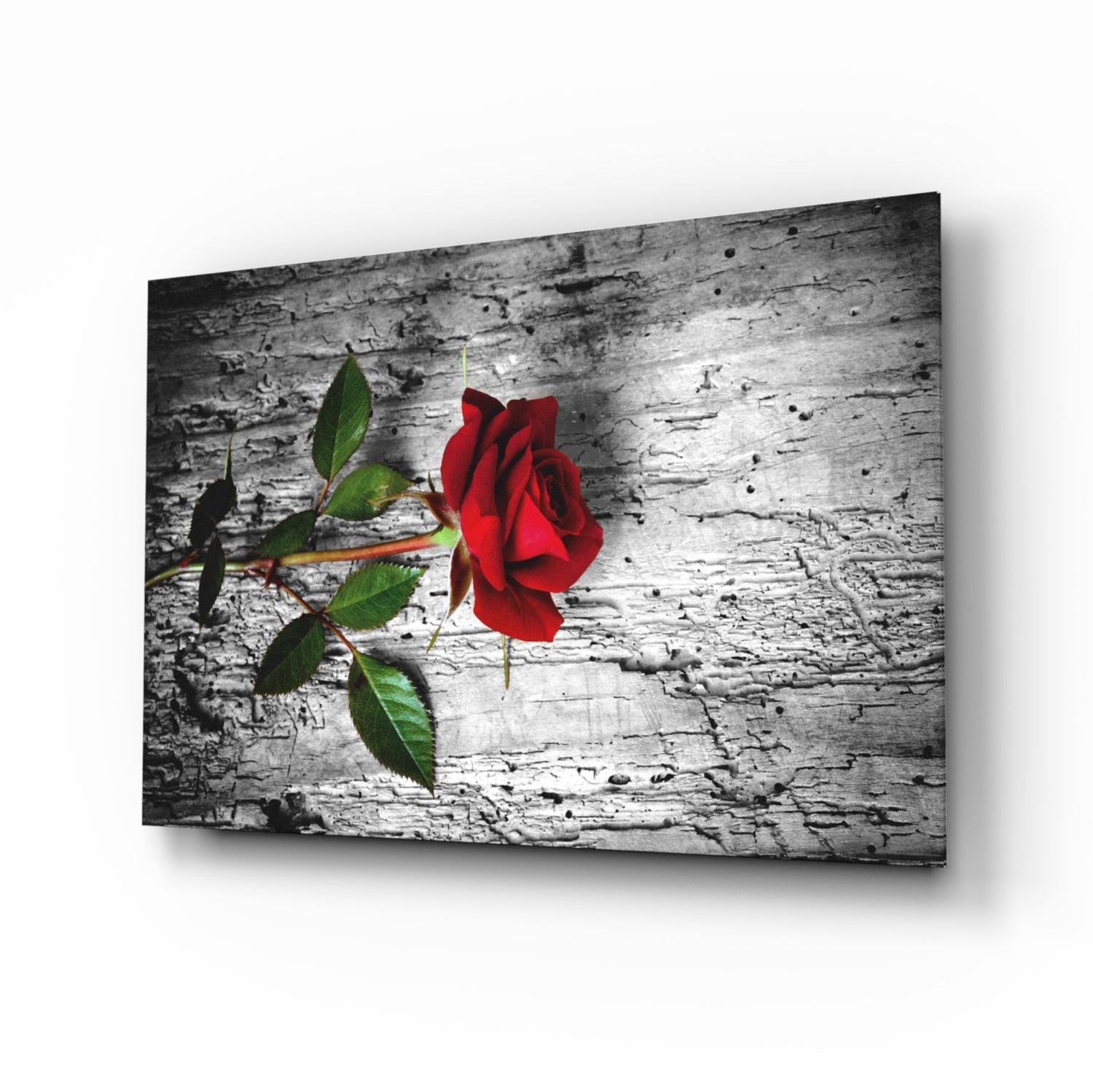 Red rose on weathered wood glass wall art