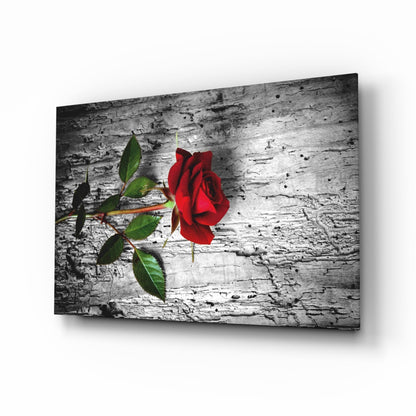 Red rose on weathered wood glass wall art