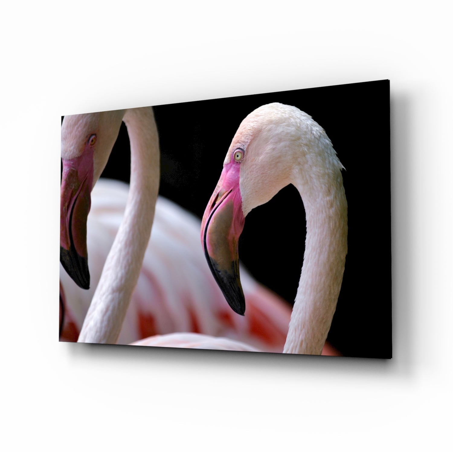 Two pink flamingo heads glass wall art