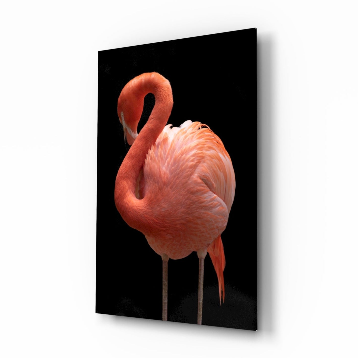 Flamingo glass wall art with coral curved neck portrait