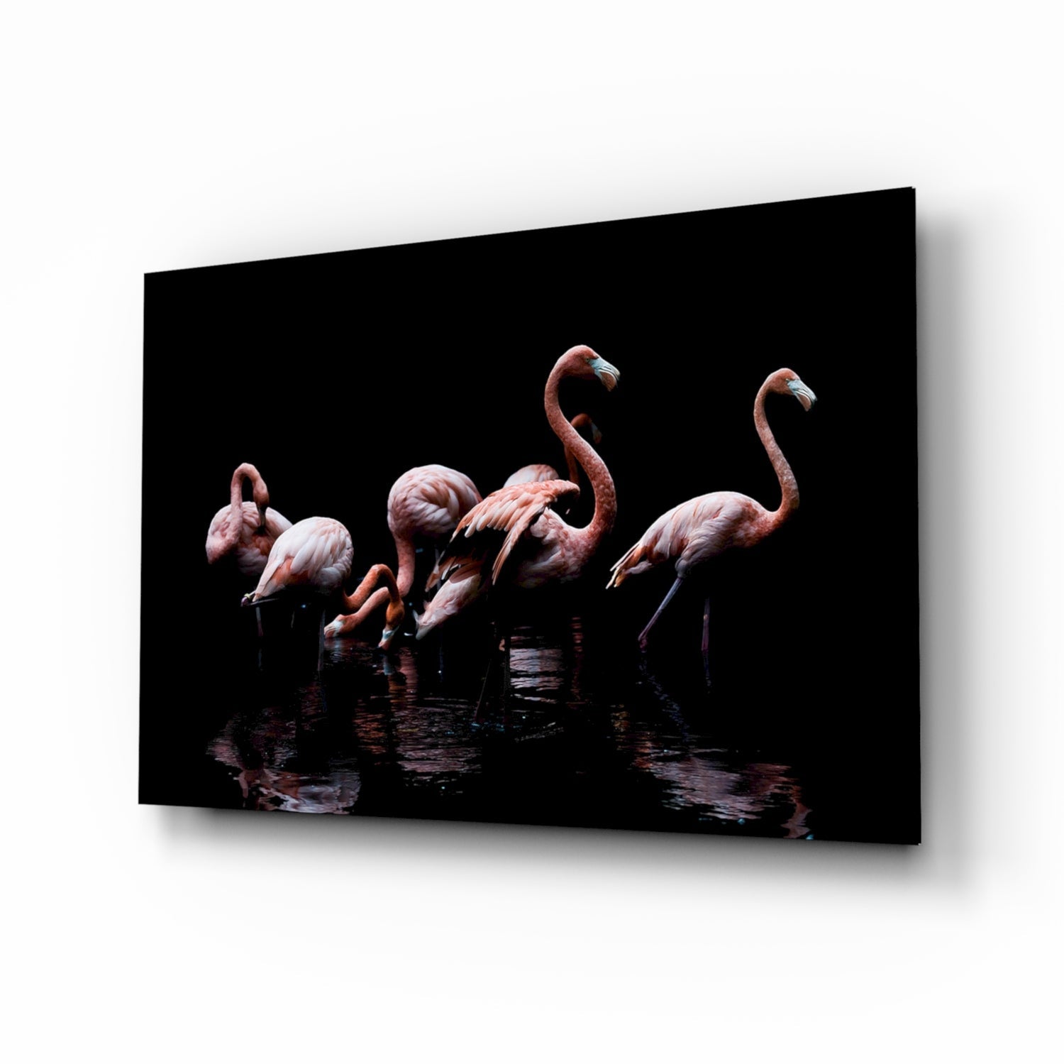 Black background wading flamingos glass wall art