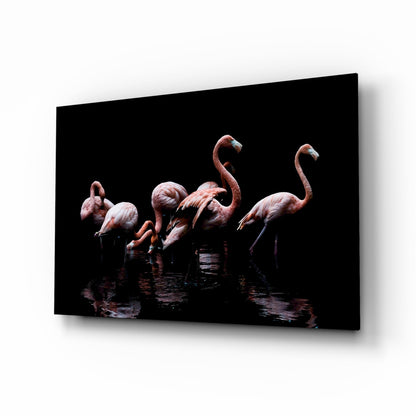 Black background wading flamingos glass wall art