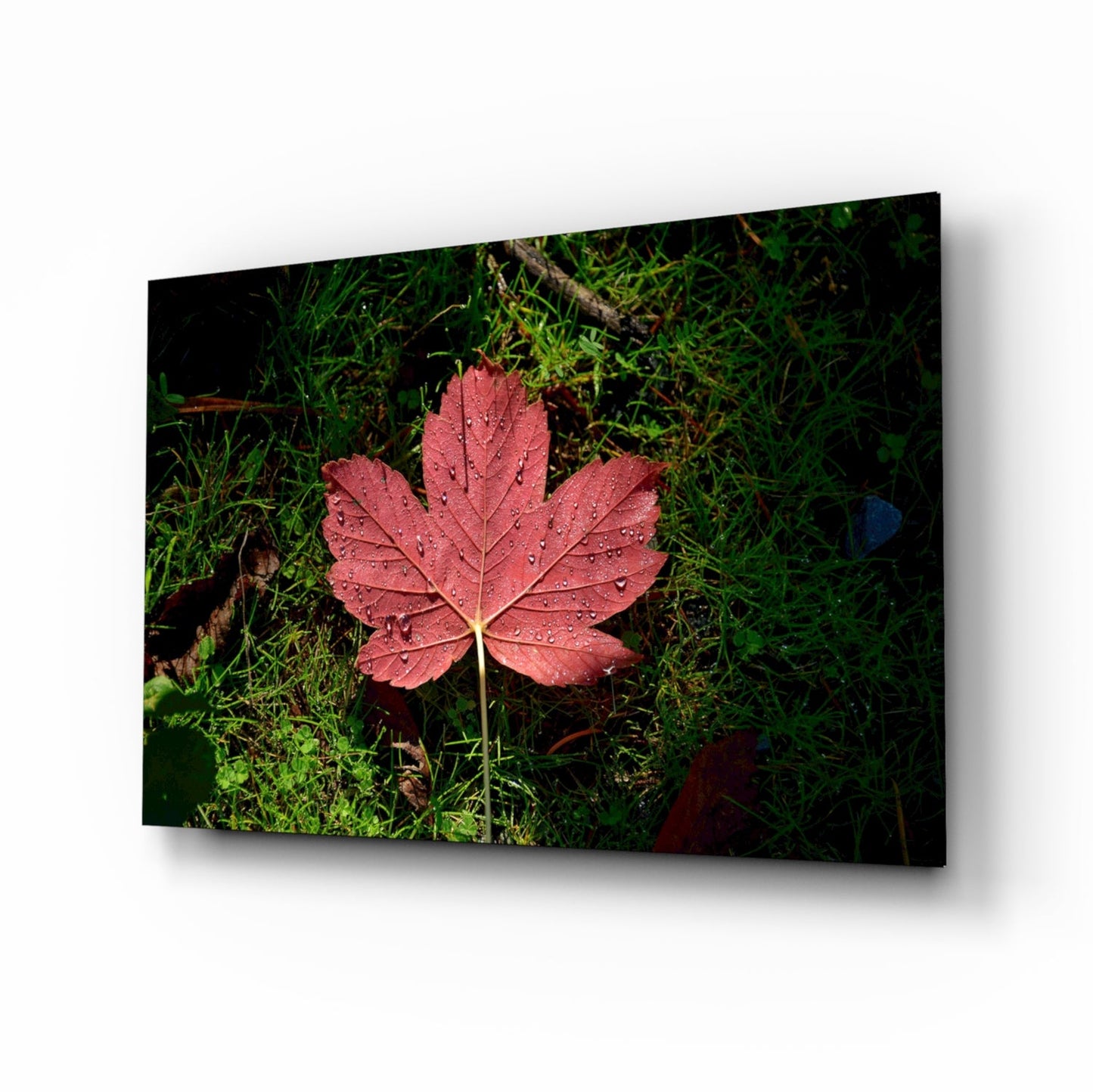 Pink Leaf botanical glass wall art